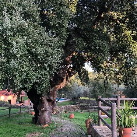 Rurales La Macera **** דירה