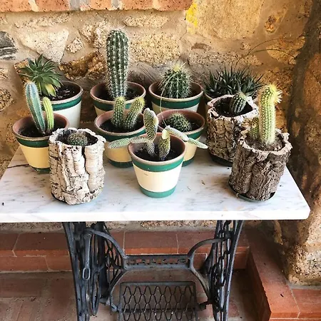 Rurales La Macera **** Valencia de Alcántara