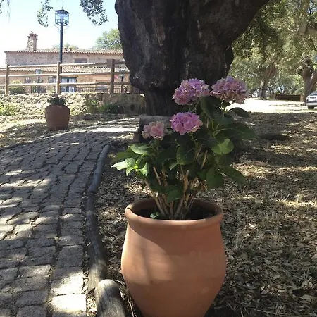 Appartement Rurales La Macera **** *