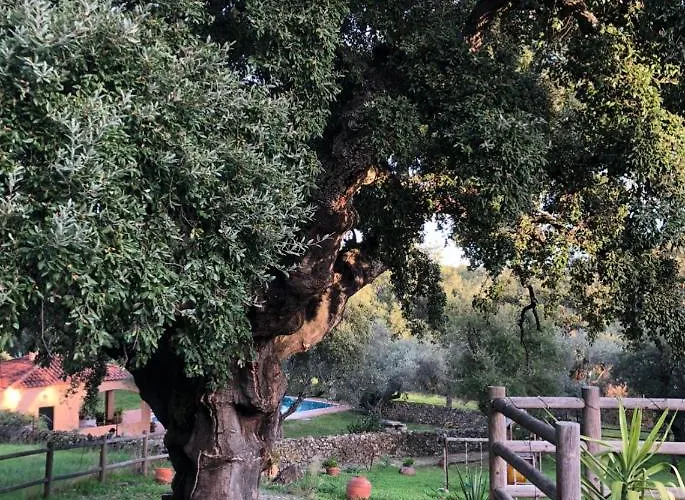 Rurales La Macera **** Appartamento