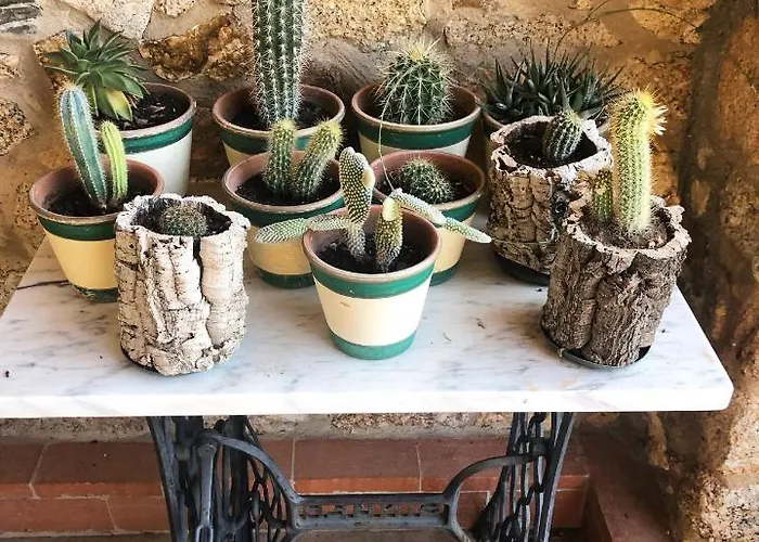 Rurales La Macera **** Valencia de Alcántara