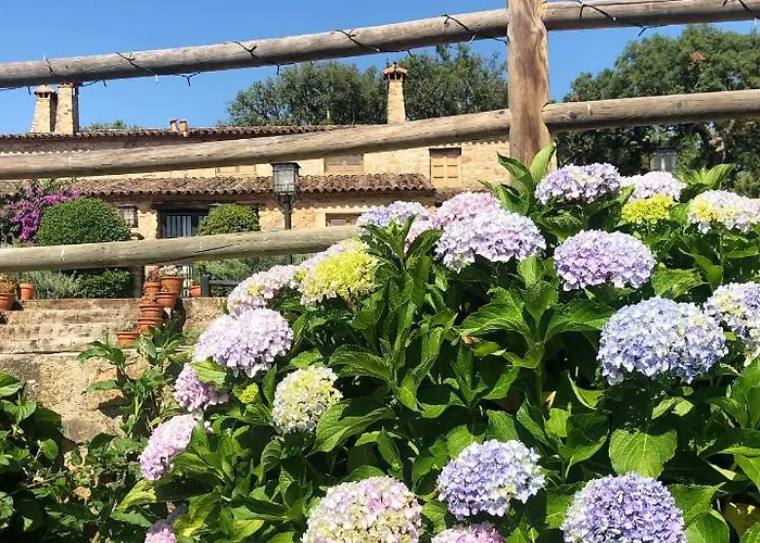 Appartamento Rurales La Macera **** *