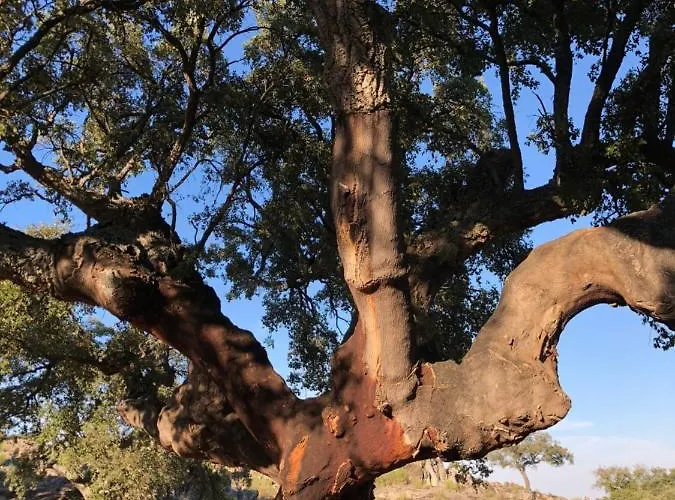 Rurales La Macera **** Valencia de Alcántara