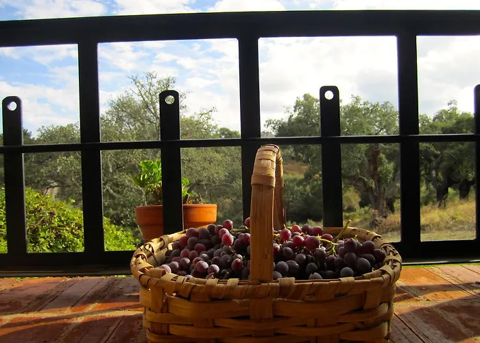 Appartamento Rurales La Macera ****