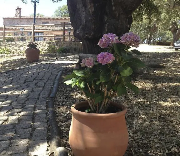 Appartamento Rurales La Macera **** *